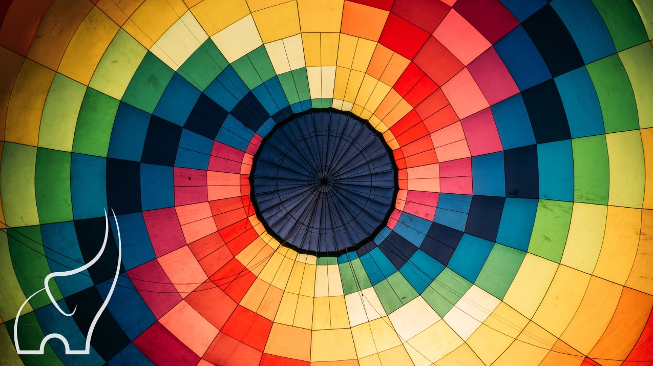 Carton Sealing Machines: Complete Guide, Insights, and Tips for Efficient Packaging