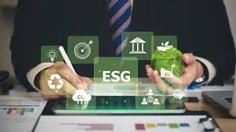 Essential Information on ESG Reporting: A Guide for Businesses
