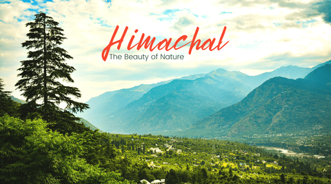 Himachal Pradesh Travel Guide: Everything You Need to Know Before You Go